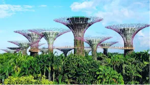 Gardens by the Bay
